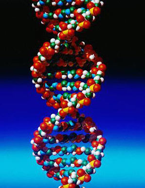 AS Biology