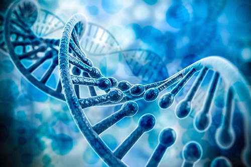 BIOLOGY (PEARSON)
