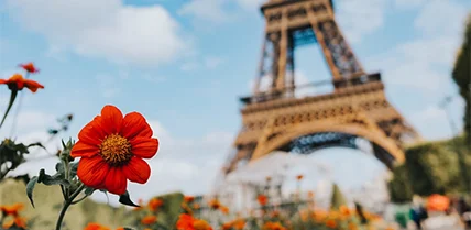 French
