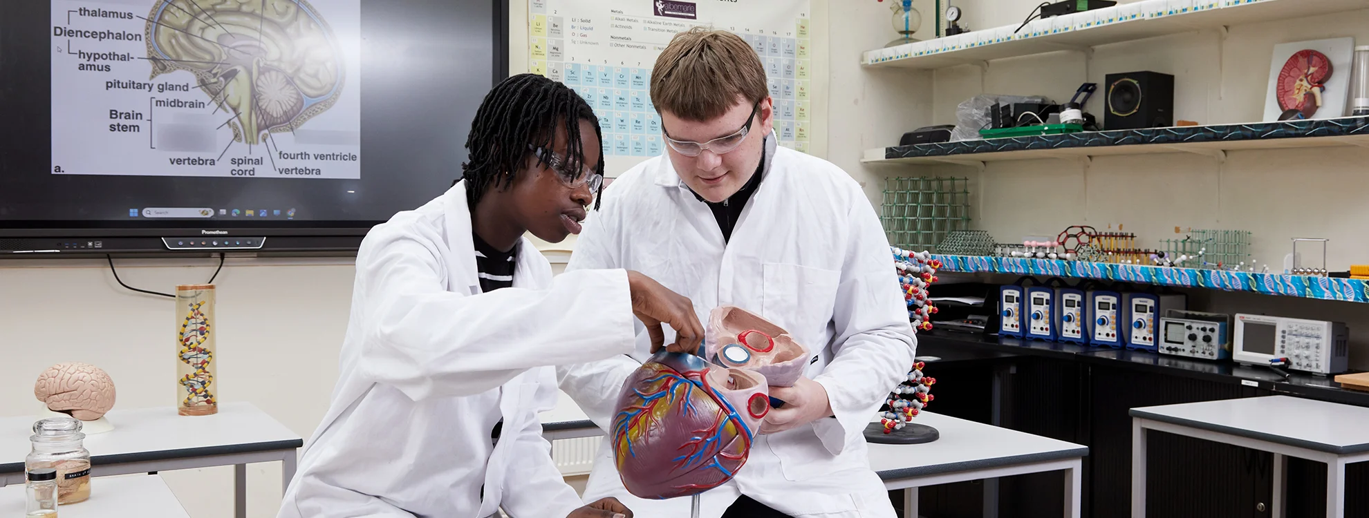 Medical Science Programme offering Summer Workshops in Medicine & Dentistry